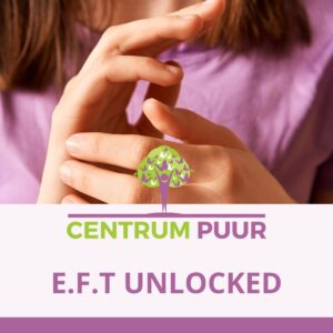 EFT Unlocked - DIY